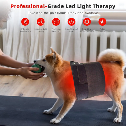 Ceinture Thérapie Lumière Rouge